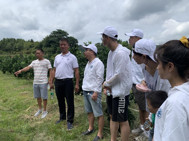 實(shí)踐隊(duì)在村主任伍玉炎帶領(lǐng)下參觀贛南臍橙種植園。福建船政交通職業(yè)學(xué)院供圖